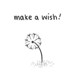 Meet your Posher, Dakiera